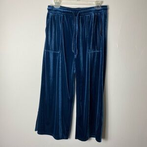 Velvet Blue Boot Cut Pants